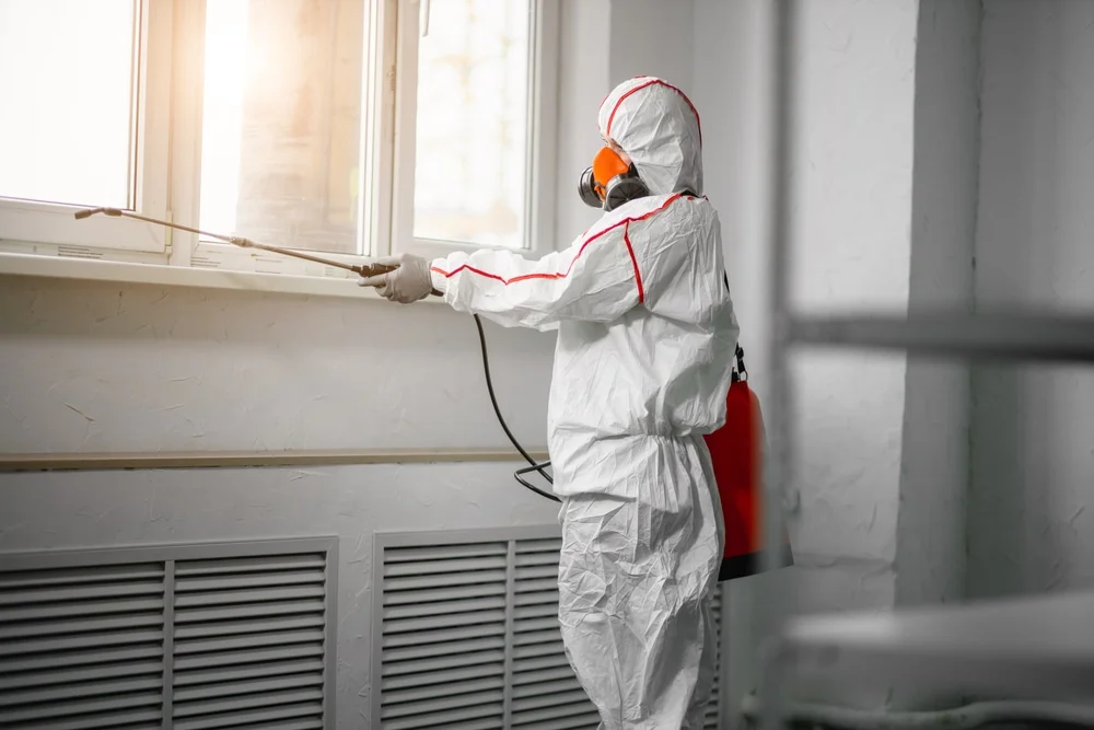 Professional mold remediation services in Argusville, ND